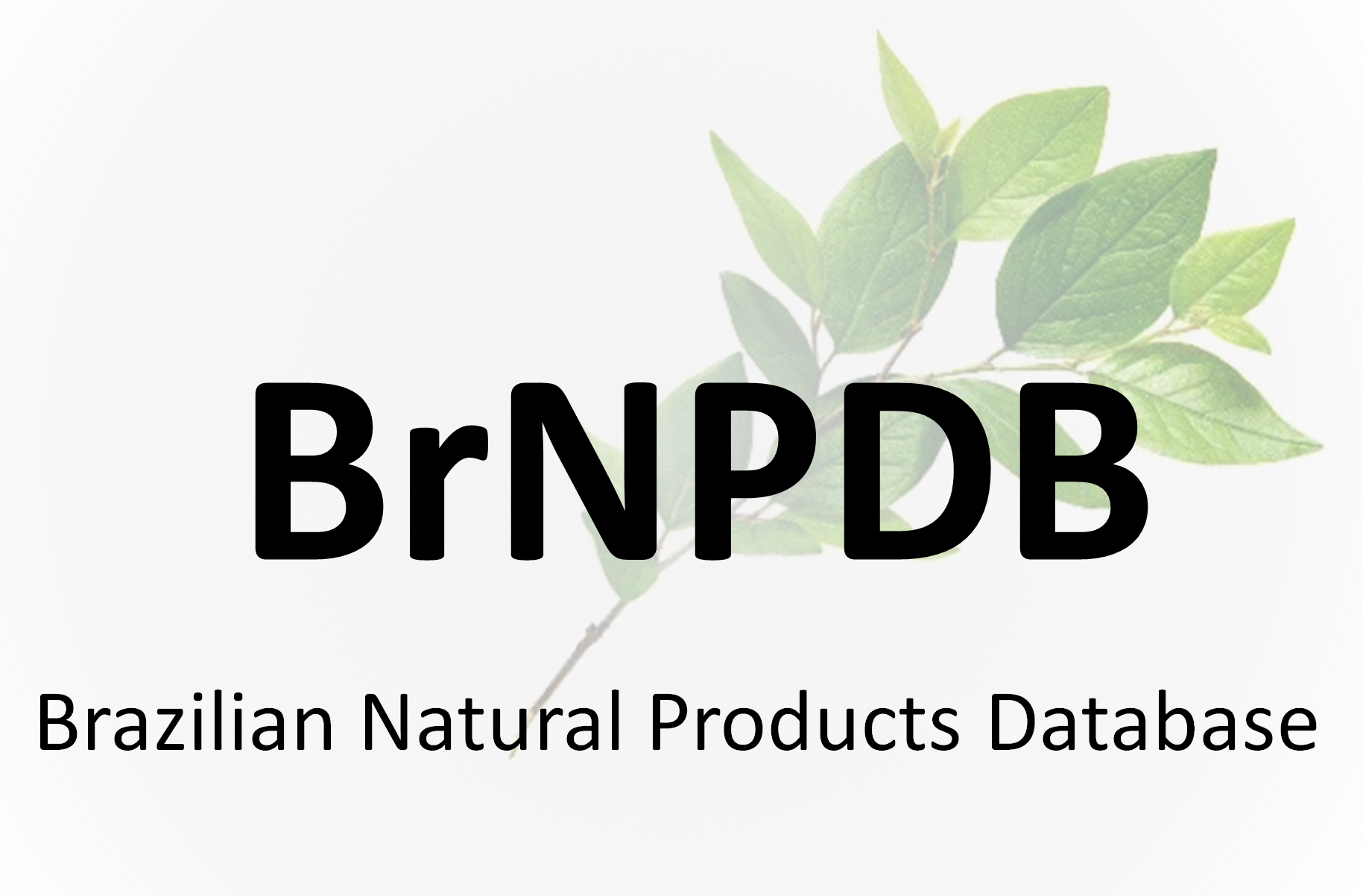 logo-brnp